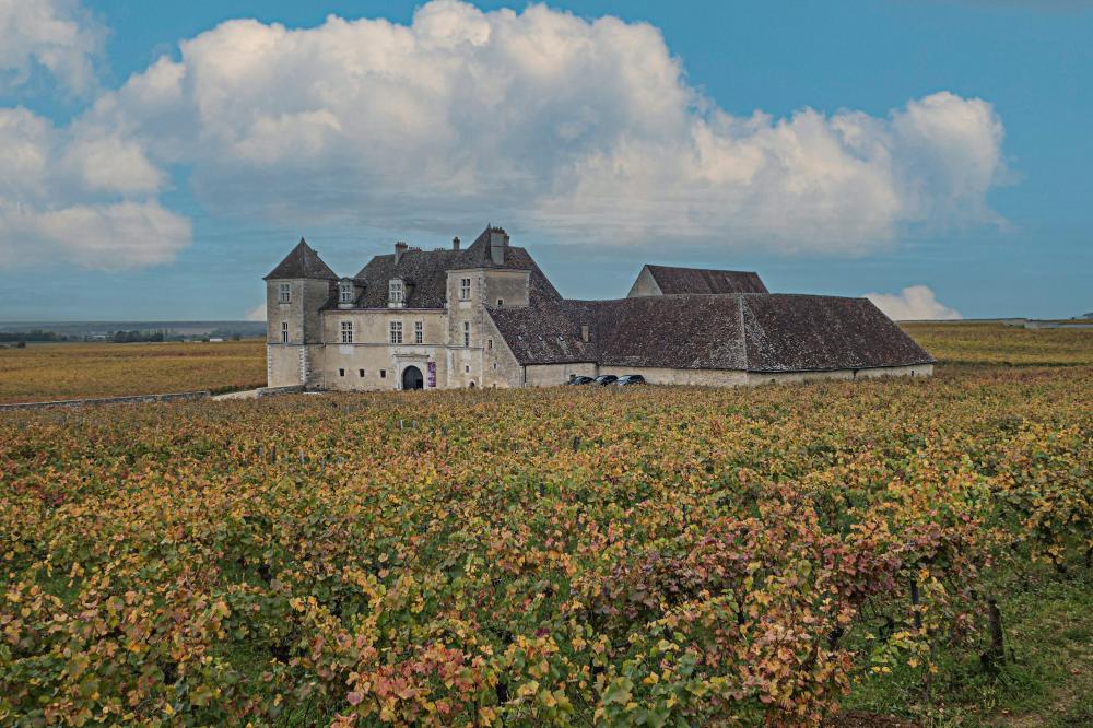 Bordeaux – Vinens Hjerte I Frankrig
