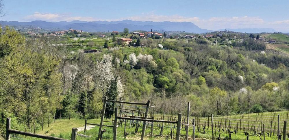 Peloponnese – Grækenlands Gamle Vinregion Med Moderne Potentiale