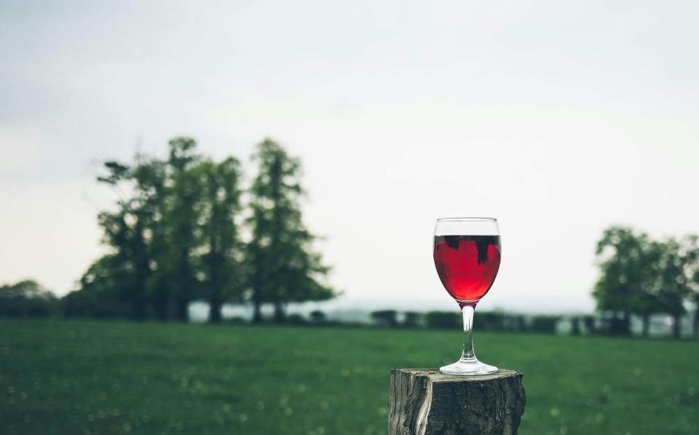 Pouilly-fumé Vs. Sancerre: En Dybdegående Sammenligning Af To Ikoniske Loire-vine