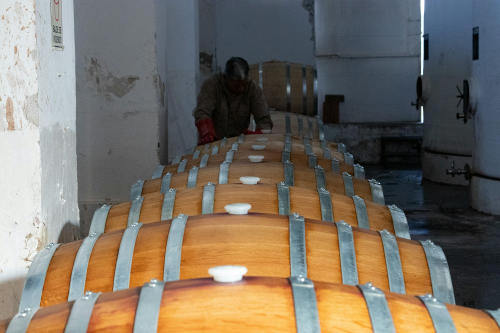 Sherry-revolutionen I Jerez