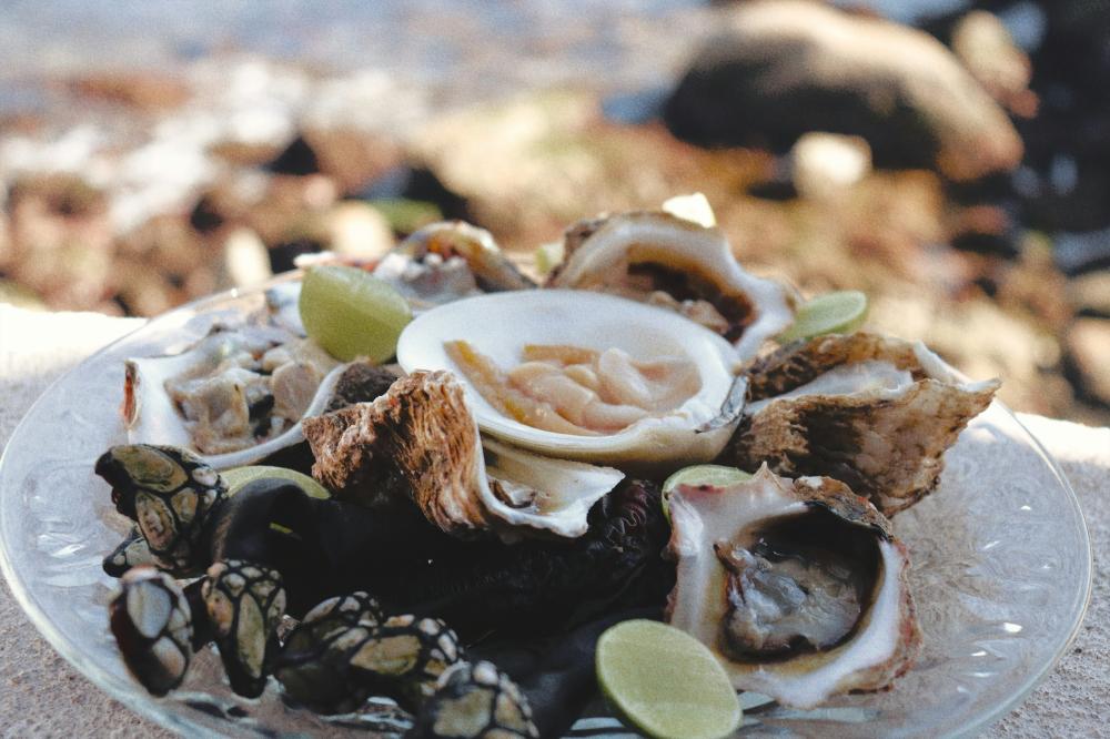 Østers Og Vin – En Klassisk Kombination